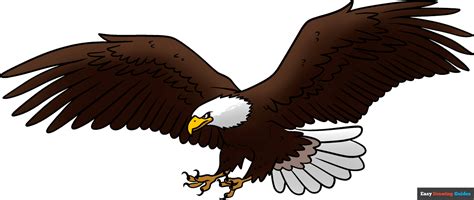 eagle drawing easy with colour|simple eagle outline drawing.